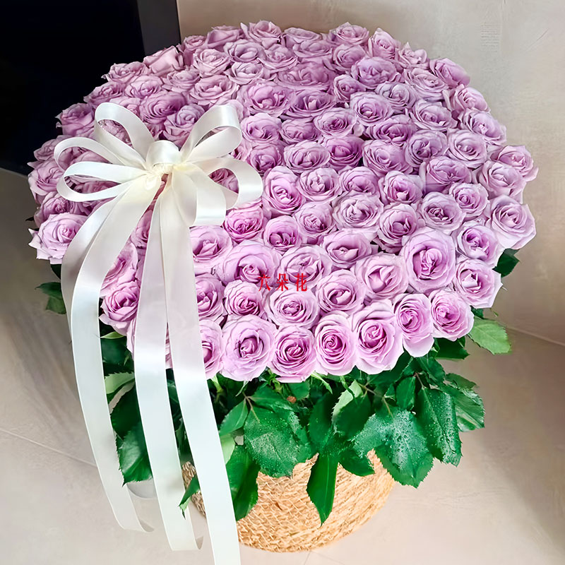 66朵曼塔紫玫瑰草编花篮,相爱的故事