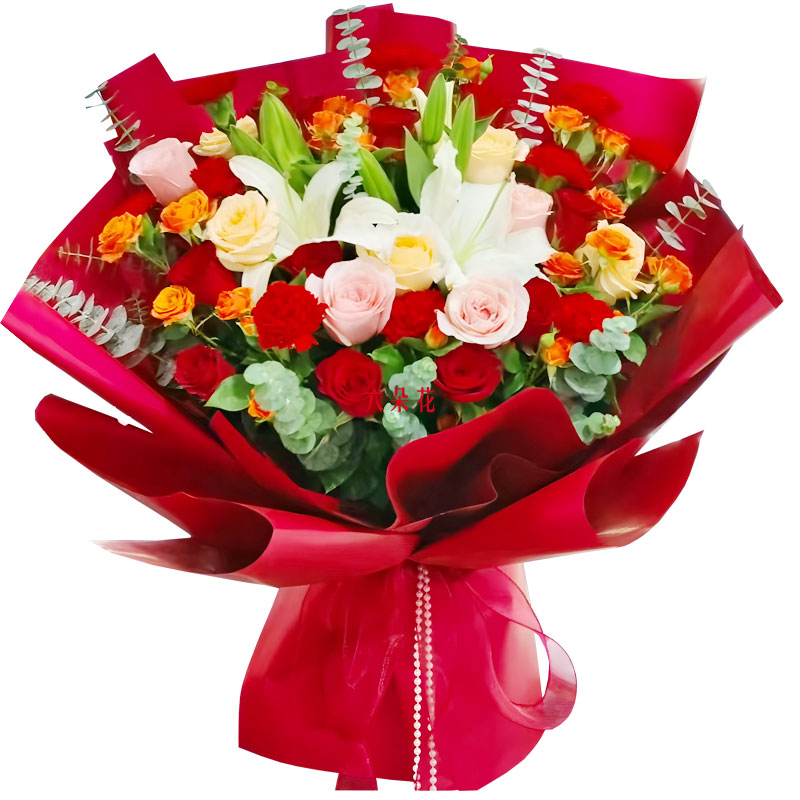 19��õ��2֧�ٺ����C�������\��