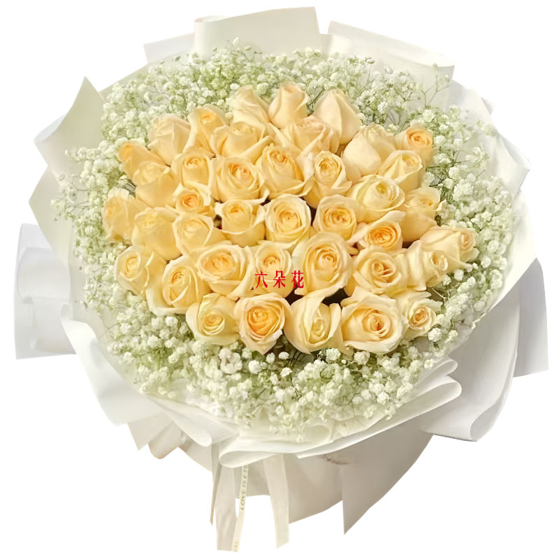 33朵香槟玫瑰满天星丰满,爱情永不枯竭