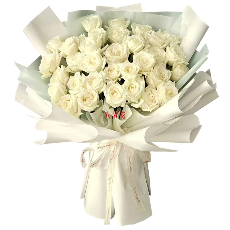 33朵白玫瑰,携手走过四季