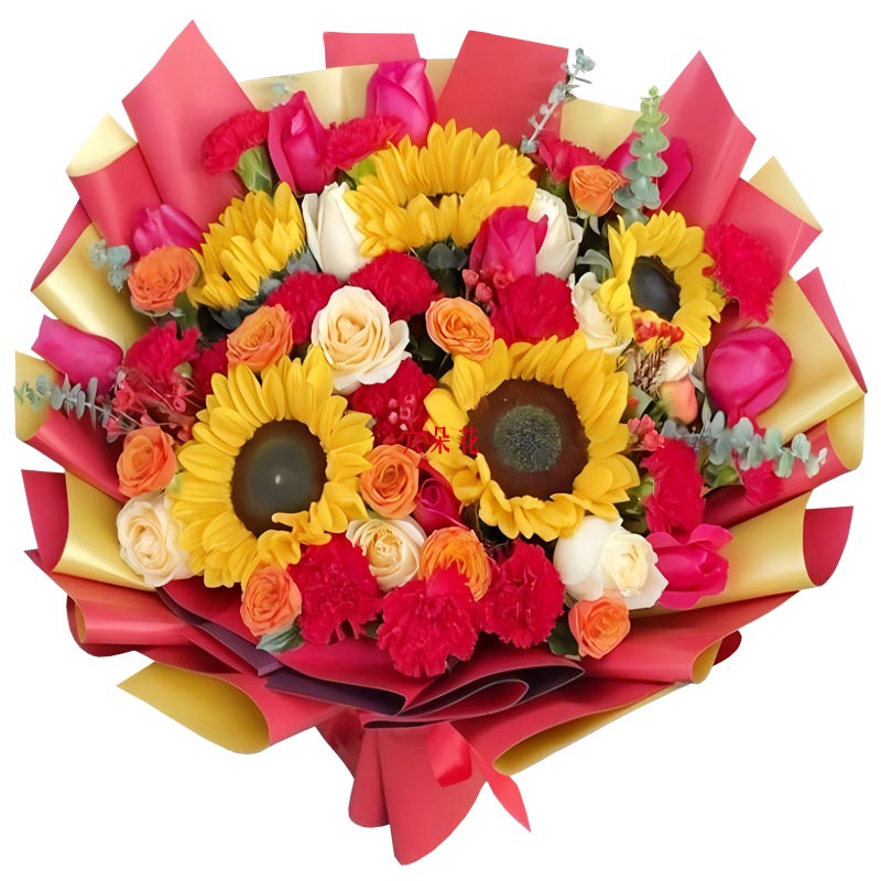 17��õ��11���ɫ����ܰ�����´�������