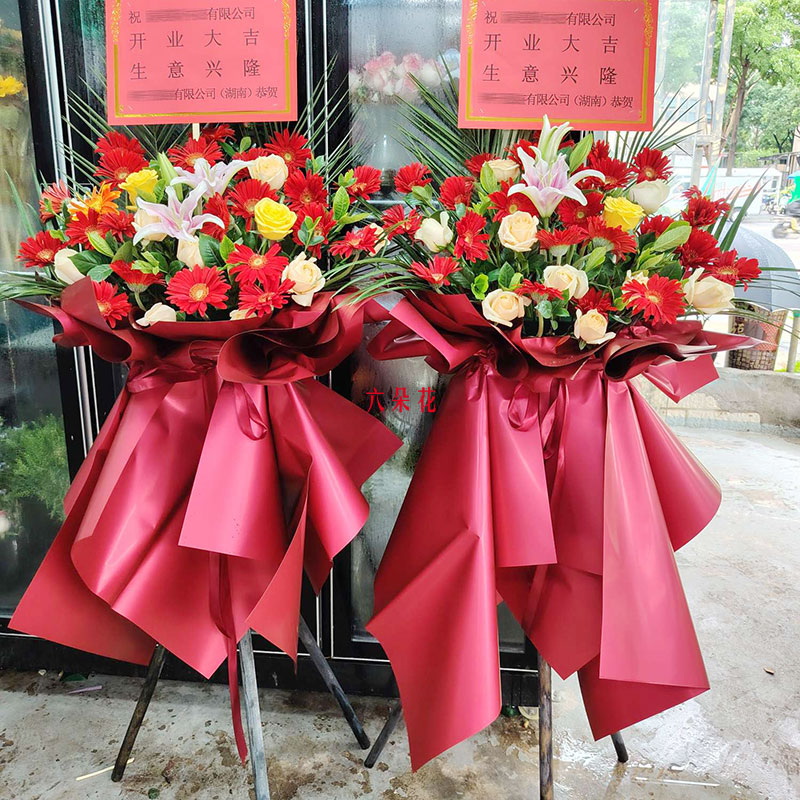 2010õ忪ҵ紺ʢ