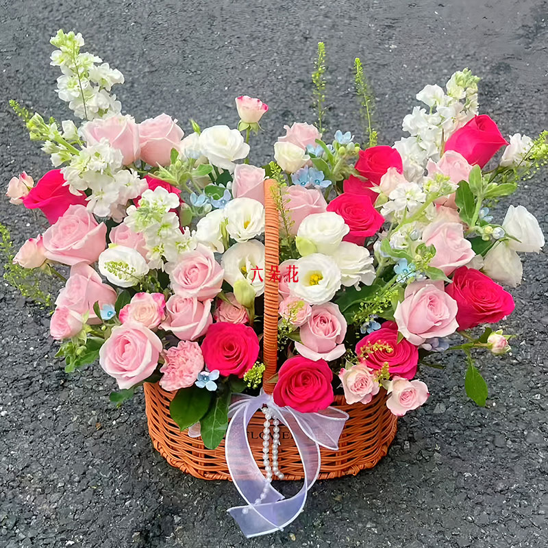 26õỨӾ