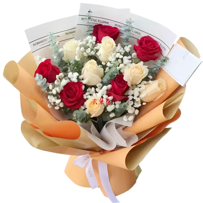 11��õ�������ֻװ����