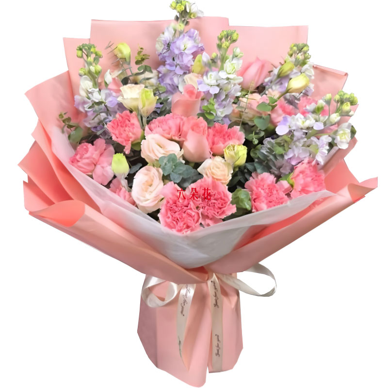 12朵粉色康乃馨5朵戴安娜粉玫瑰,感恩您的疼爱