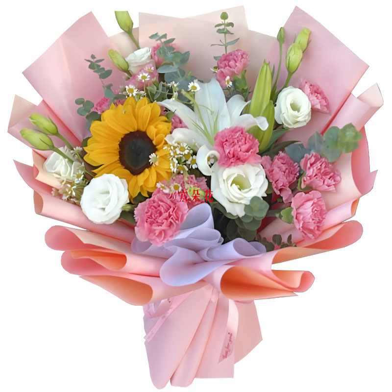 12朵粉色康乃馨百合向日葵,生活丰富多彩