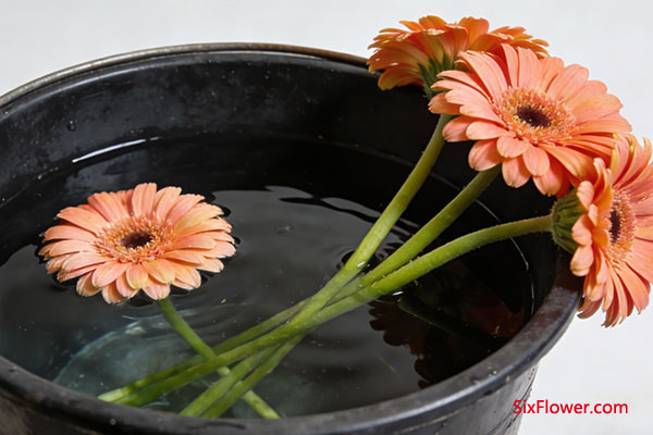 ��ǰ�ѻ���ȷ��״̬���