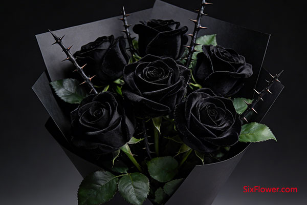 ����ʿõ�� &mdash;&mdash; ��һ�޶��İ������ػ�