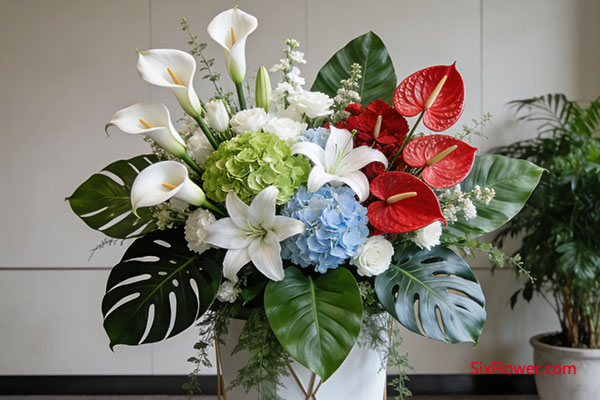 重要会议/商务场合场合