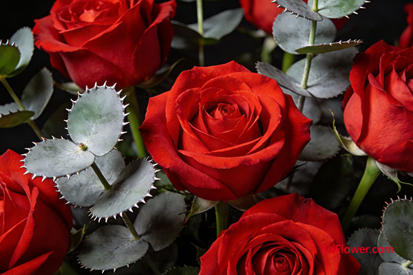 ��ů�������|���ͻ�