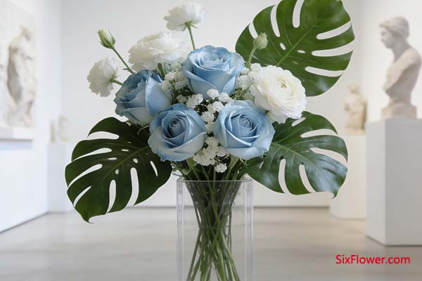 �ʺ�ʲô��������