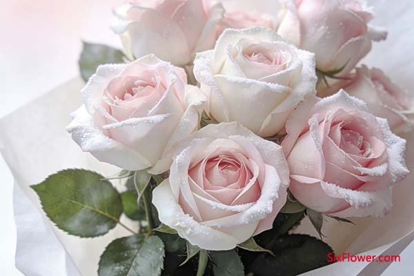 ע������