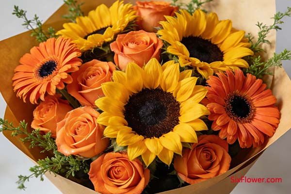 �����������ʿ�ͻ�