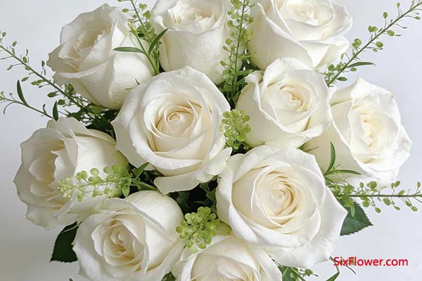 ��õ�壺�����������µ����