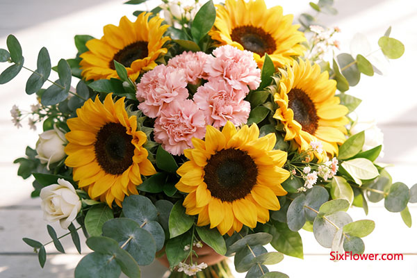 ����ף����ϣ�������ܰ�����տ���