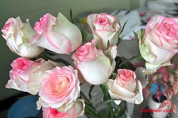 �Ͱ�������