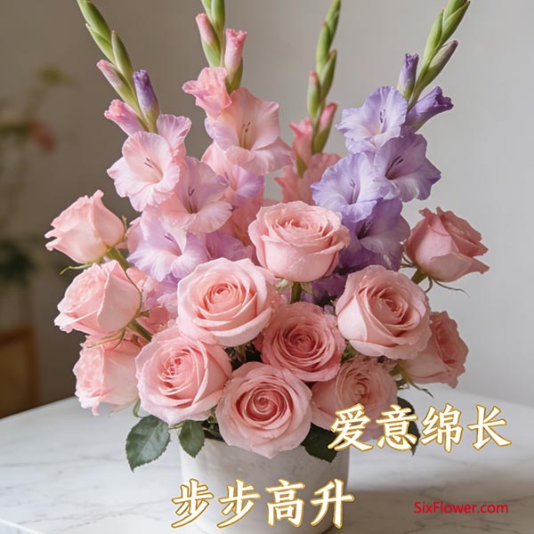 剑兰 + 粉玫瑰 | 步步高升，爱意绵长