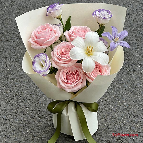 送给同事或普通朋友