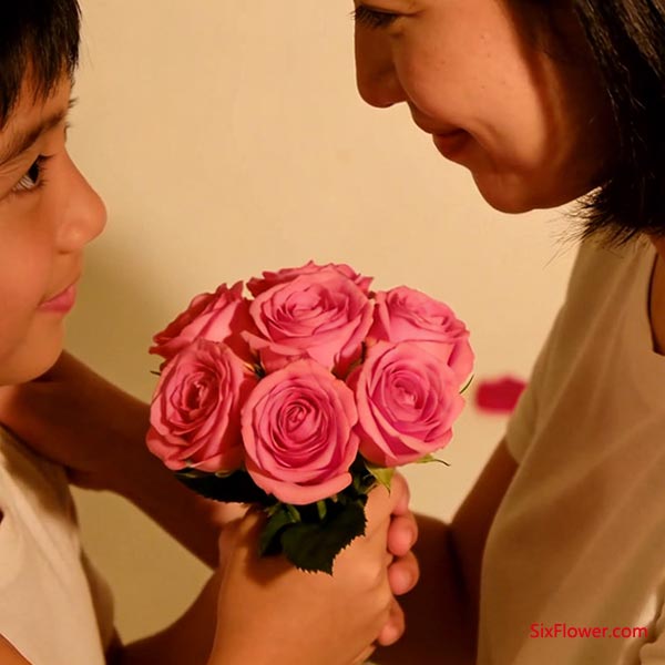 5朵玫瑰花 &mdash;&mdash; &ldquo;谢谢妈妈，你辛苦了&rdquo;