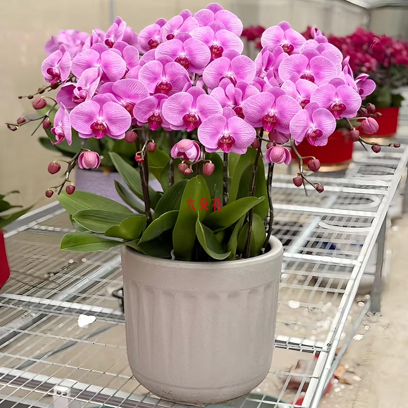 10��۹ھ��������������޿����