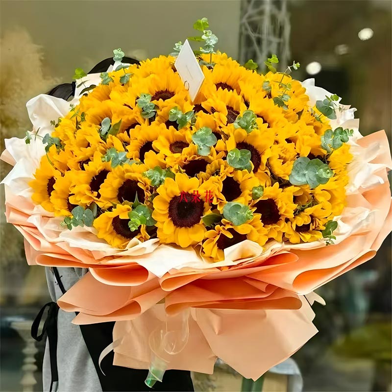 51�����տ��������ǹ�â