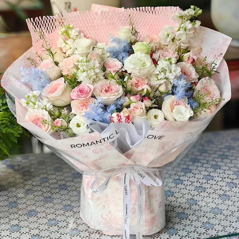 12�䰬ɯ��õ��5֧�����������������Ĺ�