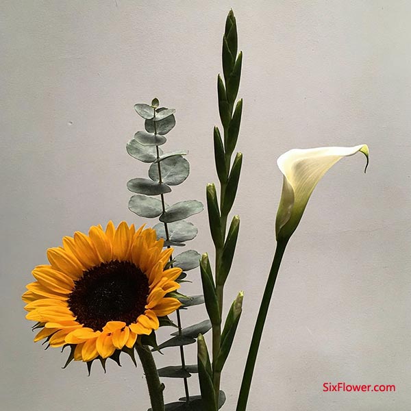 �ʺ������Ļ���&mdash;&mdash;���ա��ɾ����о�