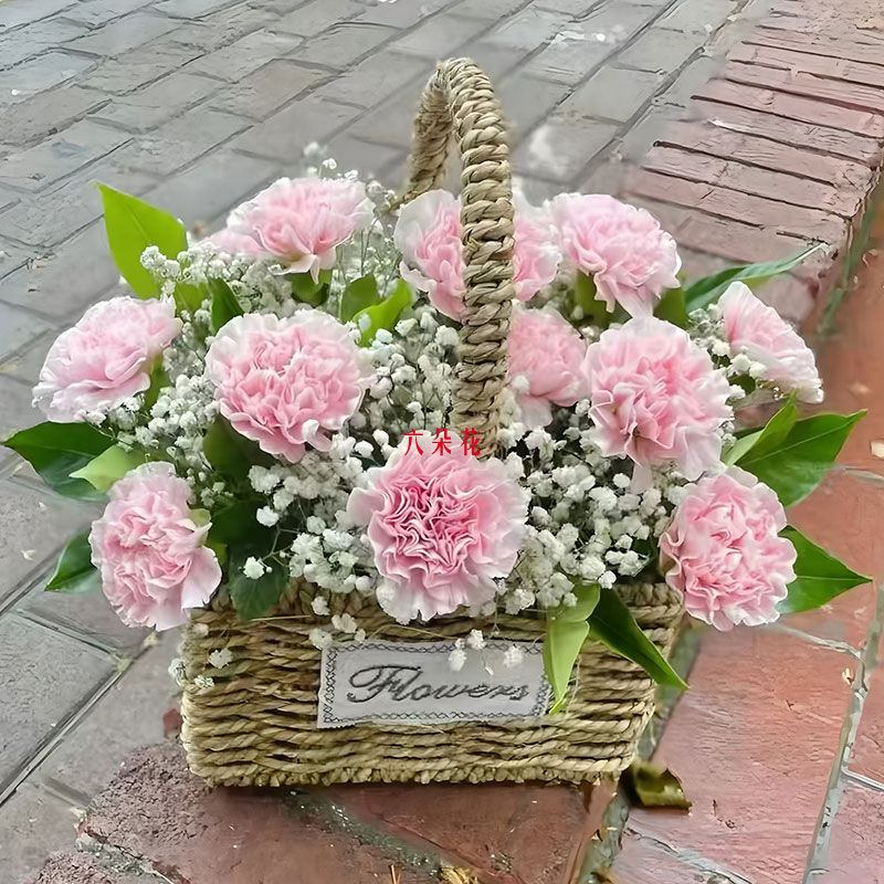 19���ɫ����ܰ������������ů˳��