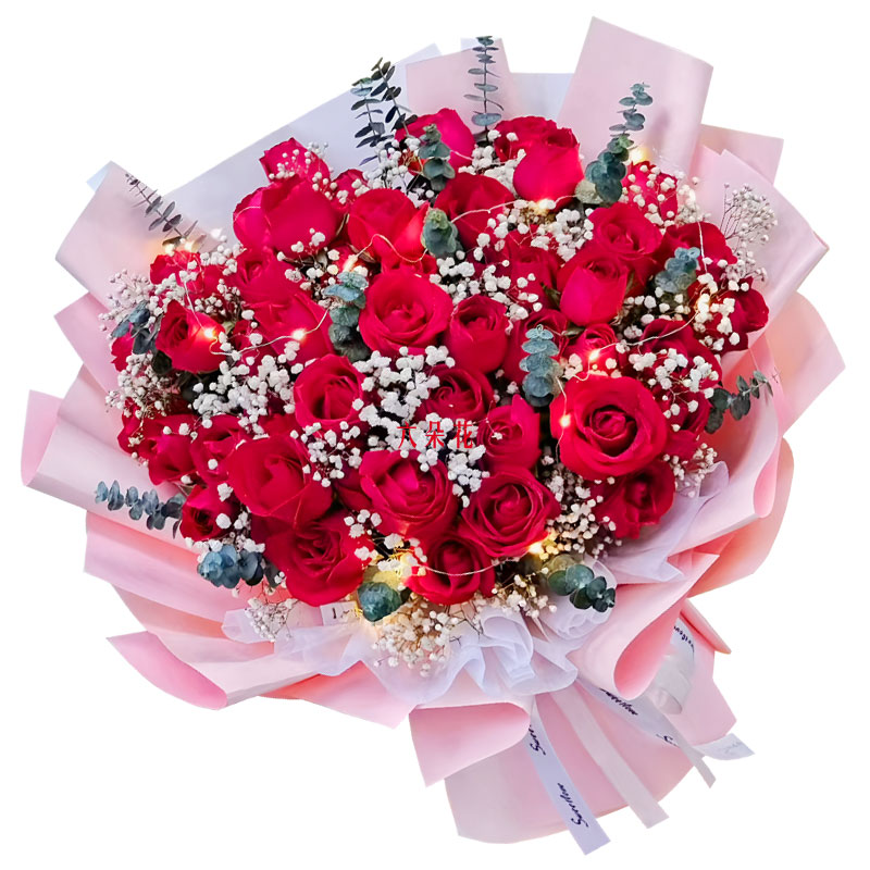 33朵红玫瑰灯带,始终爱你如初