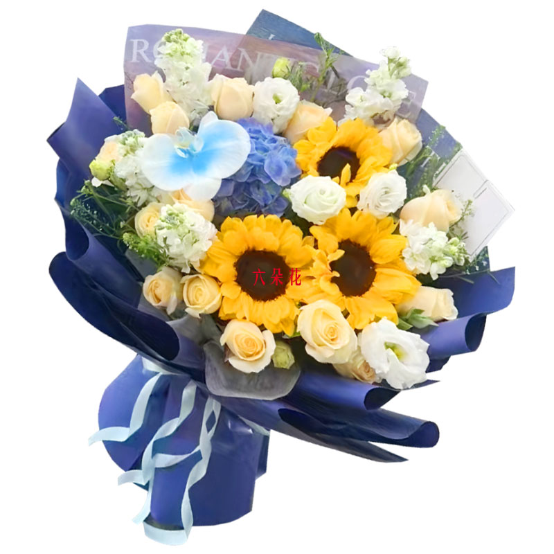 3�����տ�11������õ�壬ÿ�춼�ֿ���