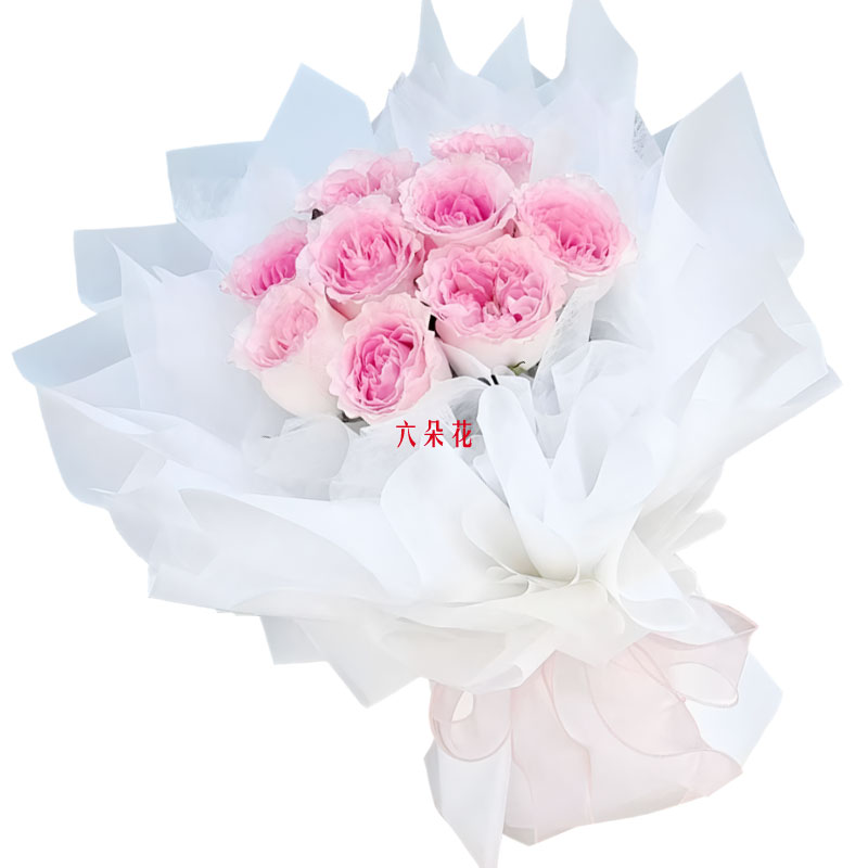 9朵洛神粉玫瑰,余生请你指教