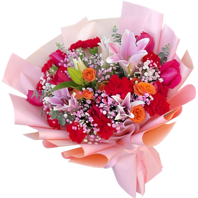 11���ɫ����ܰ5���õ�壬Ը���Ĳ�ů��