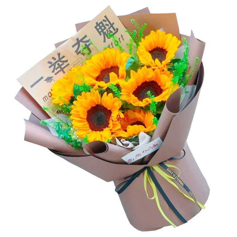 6տֲݴ䣬ԻԼ