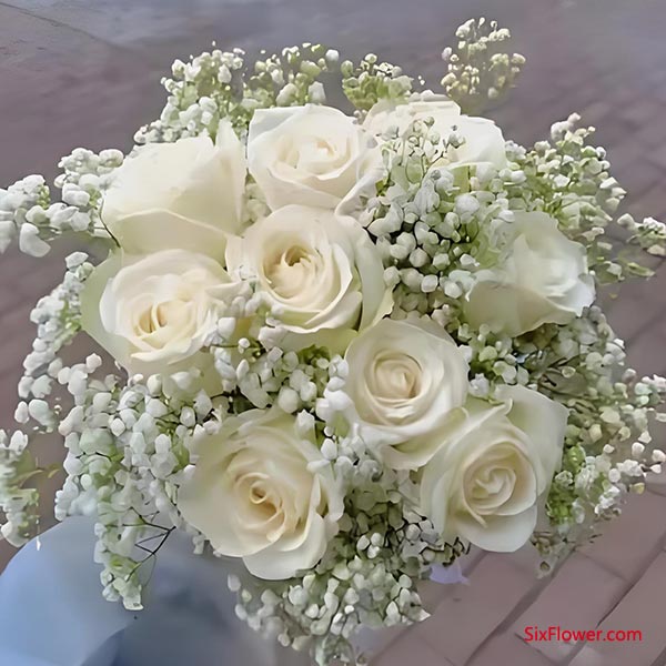 ��ɫ�����Ǵ���