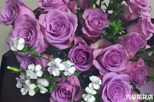 紫霞仙子玫瑰的花语是什么 多少钱一束 六朵花