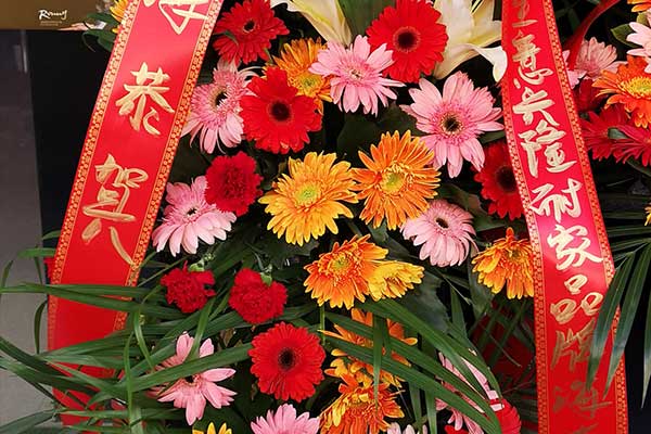 韩城复兴路花店 韩城复兴路泰山名园斜对面送花 六朵花