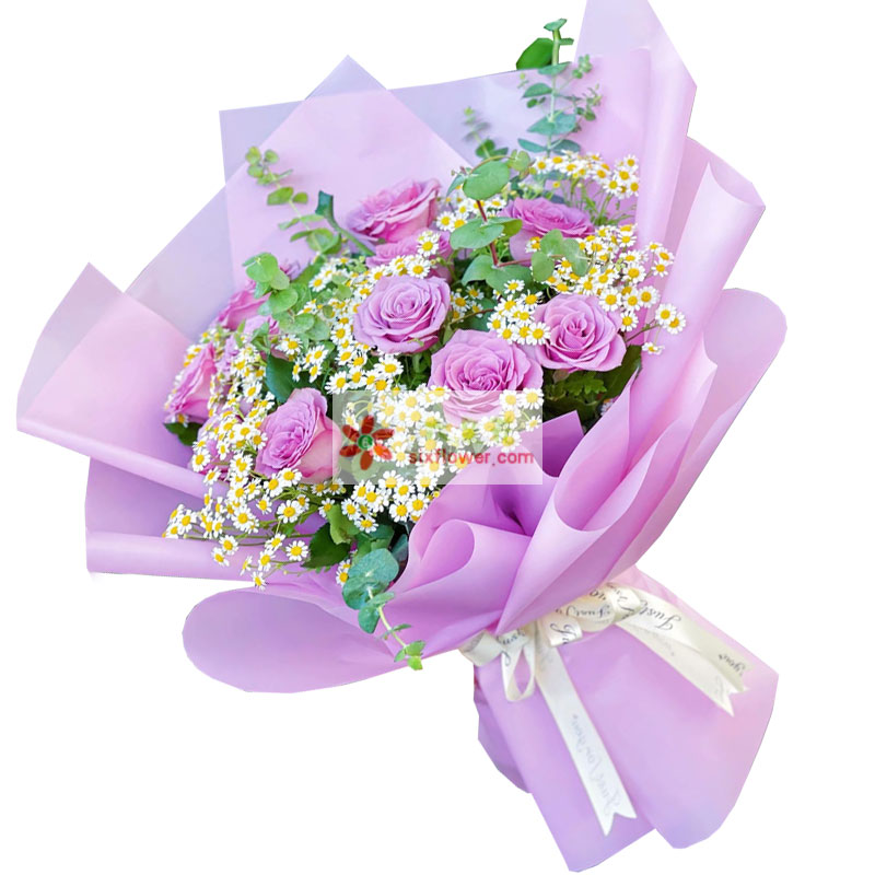 11朵紫玫瑰，甜蜜的微笑