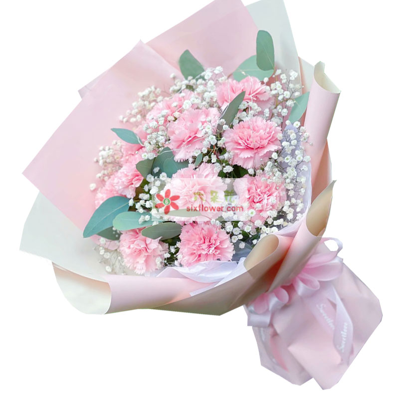 11朵粉色康乃馨，幸福到永远