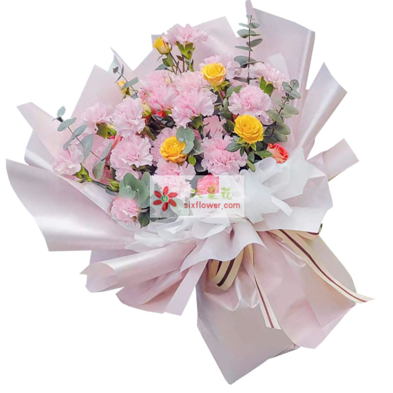 19朵粉色康乃馨玫瑰，温暖您的心