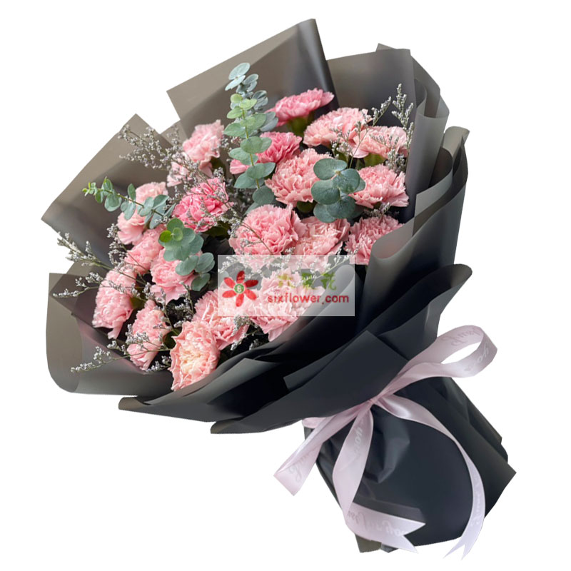 19朵粉色康乃馨，无限的祝福