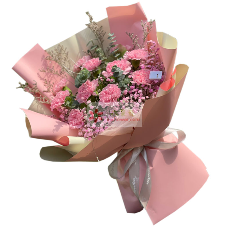 11朵粉色康乃馨粉色满天星，关心和爱意