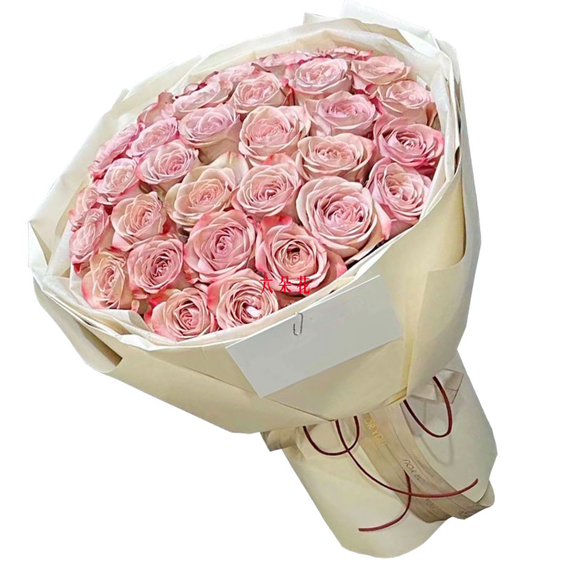 29朵卡布奇洛玫瑰，迷人的你