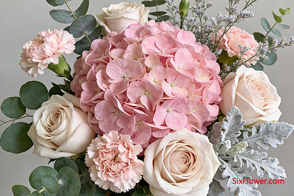 �����ճ��ͻ�����򻨵�����