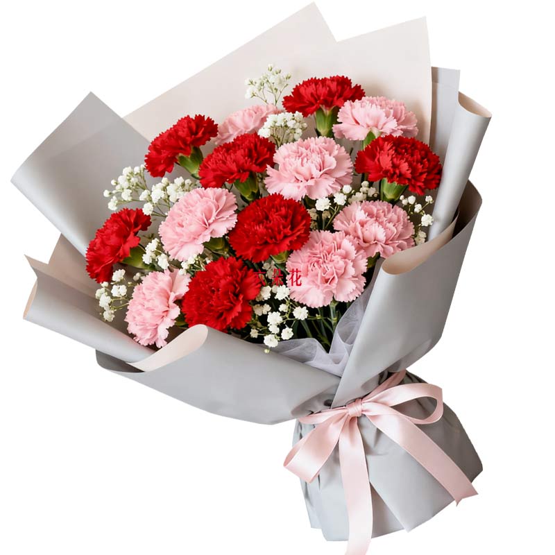16朵康乃馨混搭,人生闪耀迷人
