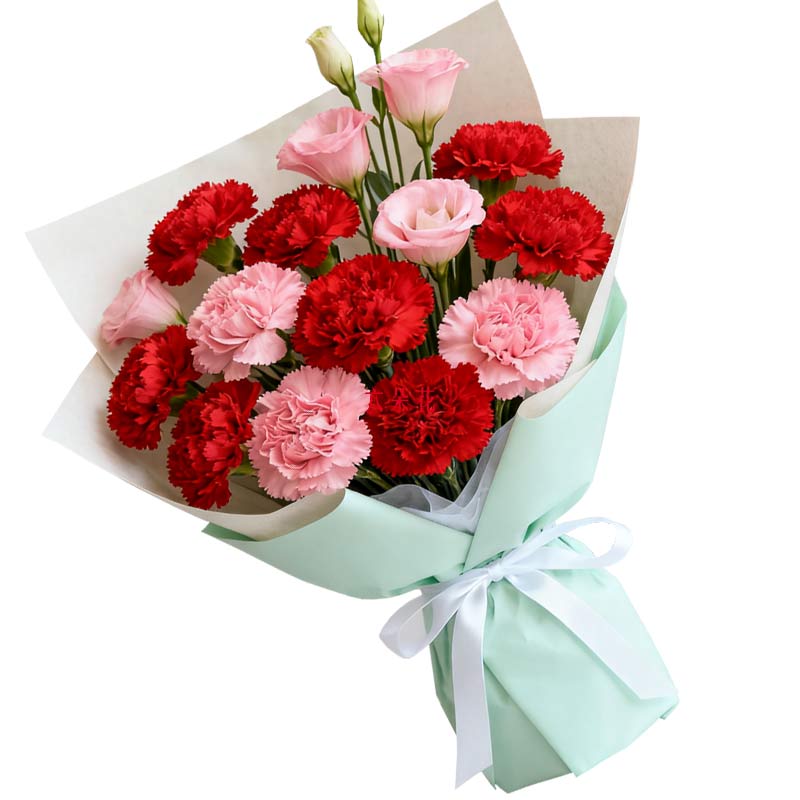 12朵康乃馨混搭,安康幸福常伴