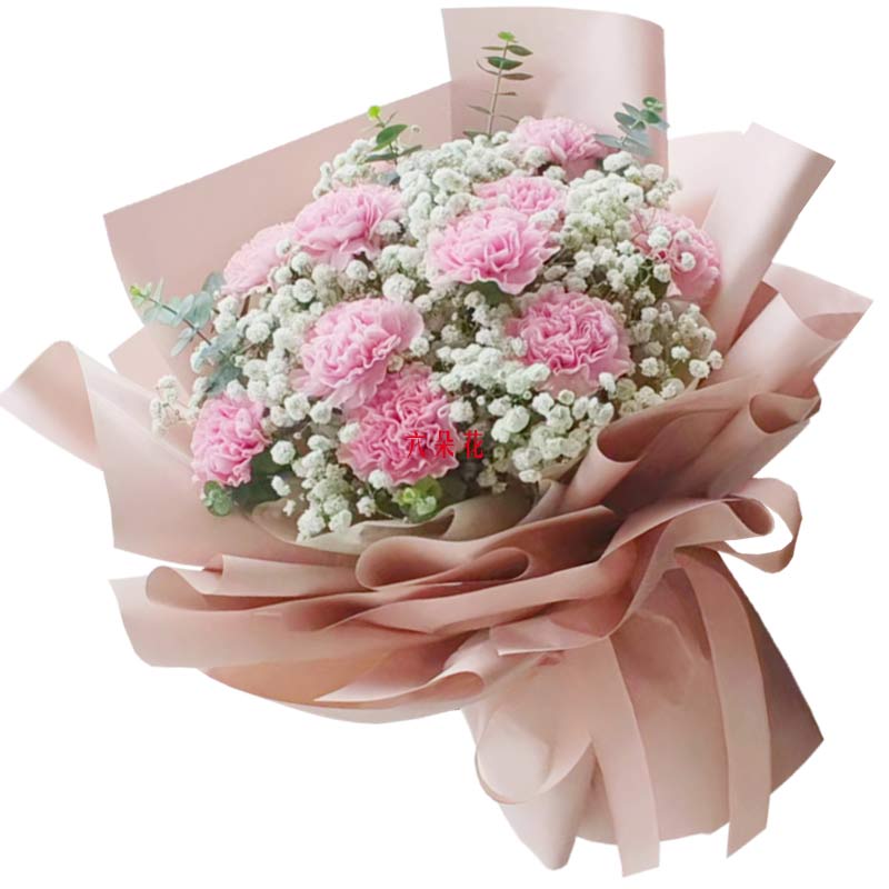 11朵粉色康乃馨满天星丰满,滋润我的心田