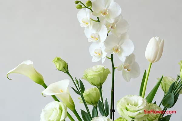 画展开业则更看重花材的气质与格调