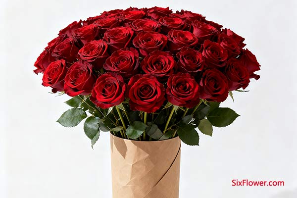  Լ/ֽͲװ——߼뻨ıĻع