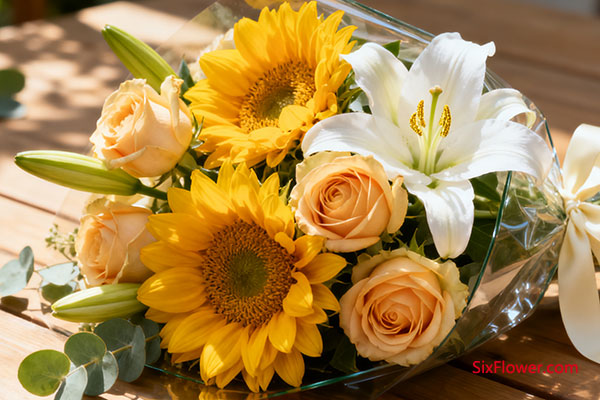 温馨阳光 · 挚爱深情组合