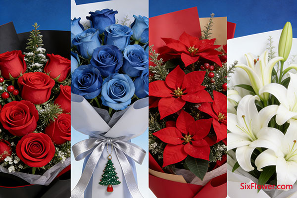 送蓝玫瑰需注意的界限